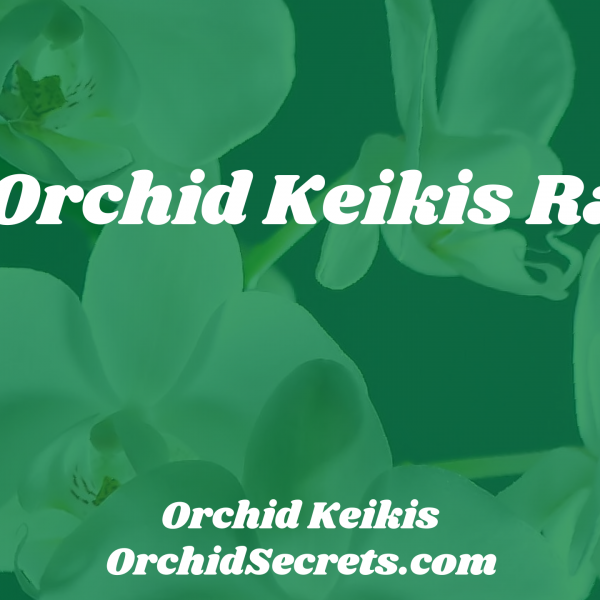 Are Orchid Keikis Rare? — Orchid Secrets