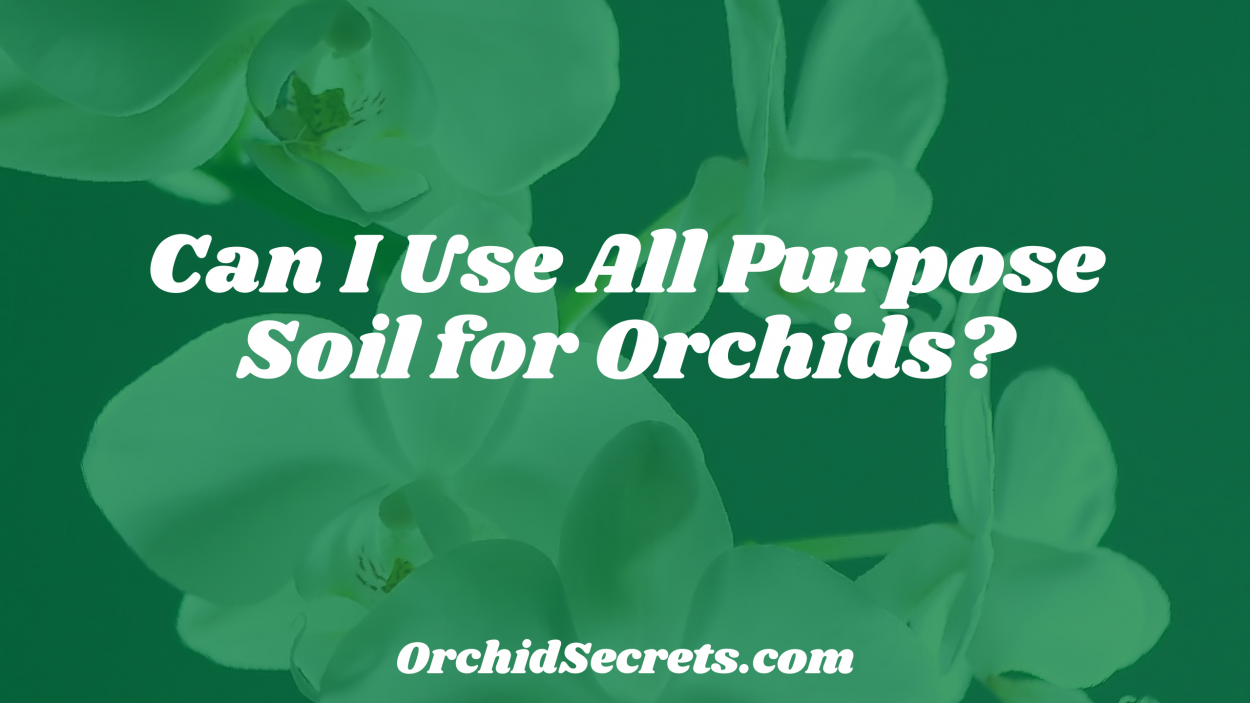 Can I Use All Purpose Soil for Orchids? — Orchid Secrets