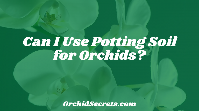 Can I Use Potting Soil for Orchids? — Orchid Secrets