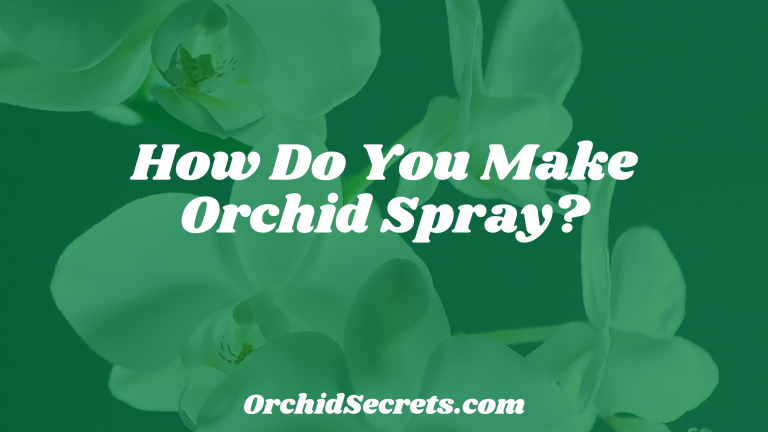 How Do You Make Orchid Spray? — Orchid Secrets