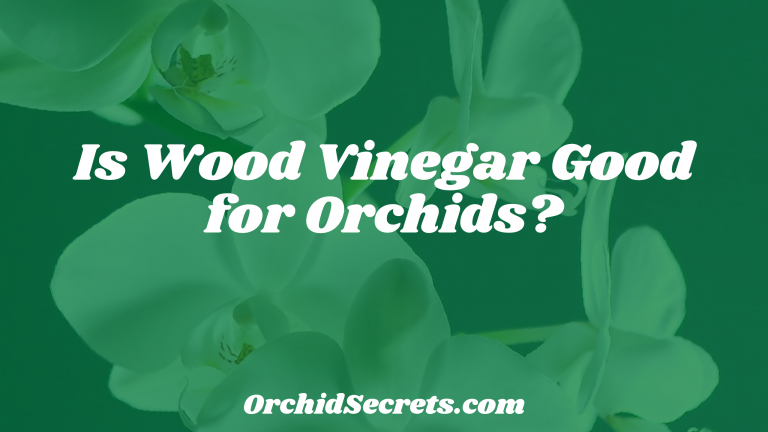 Is Wood Vinegar Good for Orchids? — Orchid Secrets